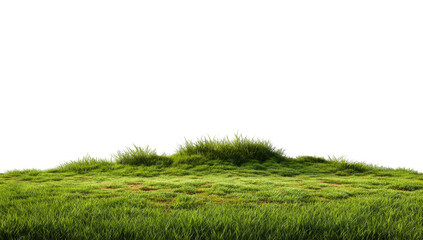 Lush green grassy hill against black background