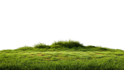 Lush green grassy hill against black background