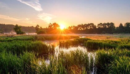 Sunrise over a tranquil marsh