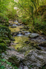 Over millions of years, the Orfento River (in the municipality of Caramanico Terme) has carved out a narrow gorge now covered by dense riparian vegetation featuring willows, ferns, and mosses.