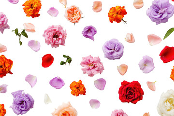 Vibrant floral pattern on a black background