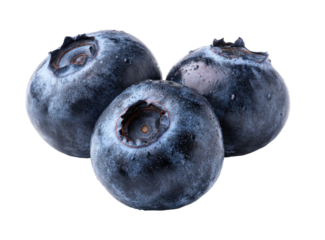 Close-up of three fresh blueberries