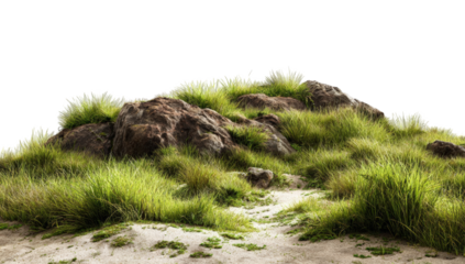 Lush grassy hill with rocks