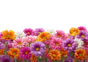 Vibrant floral border against a black background