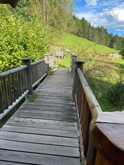 wooden bridge in the forest