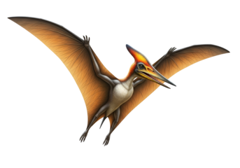 A detailed illustration of a pterodactyl, showcasing its intricate wing structure and vibrant colors against a stark black backdrop.