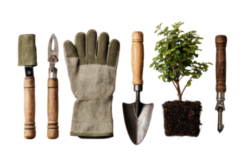 Gardening tools and a small bonsai tree, arranged in a horizontal row