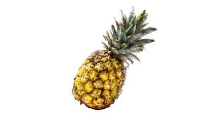 A single pineapple against a black background.  Close-up view