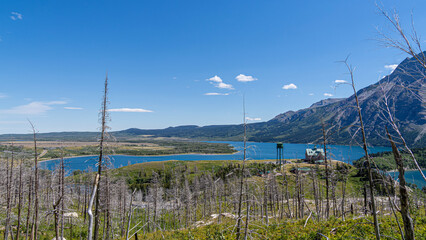 Scenery along Bear's Hump Trail of Waterton lake national park, Waterton, Alberta, Canada