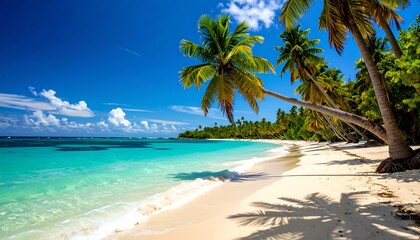 Tropical beach paradise with palm trees (1)