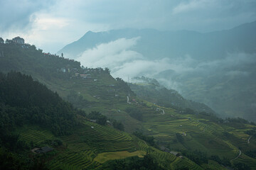 Obraz premium Misty morning over rice terraces in Sapa, Vietnam