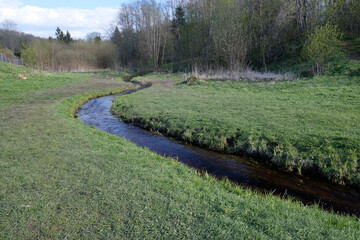 Obraz premium a narrow river between banks with green grass