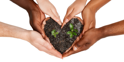 Diverse hands holding a small seedling in soil, forming a heart shape