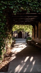 Fototapeta premium Low-angle ivy cloister path in warm sunlight