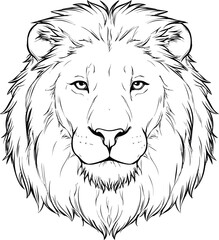 Black and white line sketch drawing of a lion's face with detailed fur mane. Vector illustration