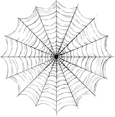 Fototapeta premium Intricate black and white spider web design drawing on white background. Vector illustration