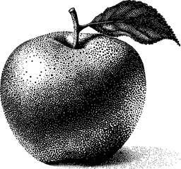 Black and white stippled apple illustration with detailed leaf and shadow. Vector illustration