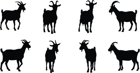Collection of goat silhouette vector illustrations, farm animal black shapes, domestic livestock grazing poses, standing and walking goats design for agriculture, nature, countryside themes