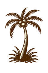 Obraz premium Vintage Coconut Palm Tree Vector on White Background – Tropical Island Illustration