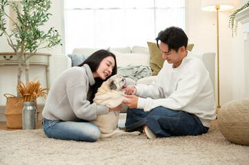 Couple Enjoys Playful Moments With Their Pug in a Cozy Living Room Setting During the Afternoon