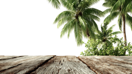 Wooden deck with palm trees