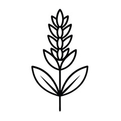 lavender flower outline icon