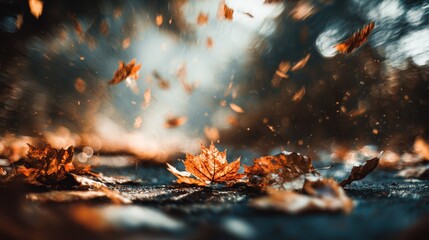 Dreamy Fall Burst: Abstract Autumn Leaves on Ground with a Blurred Bokeh Effect
