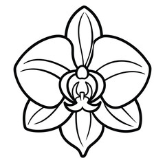 orchid flower outline icon