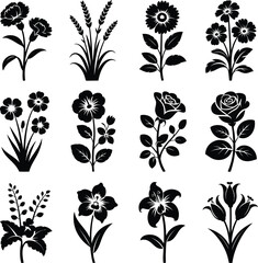 Black Silhouettes of Flowers and Wheat Stalks rose daisy