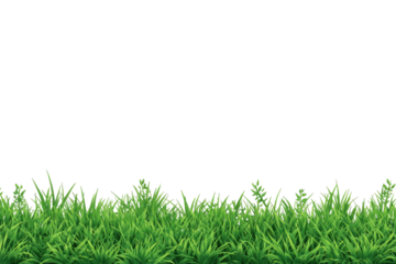 Lush green grass border against a black background (1)