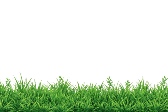 Lush green grass border against a black background (1)