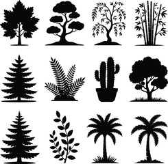 Collection of Black Silhouette Trees and Plants on White Background nature