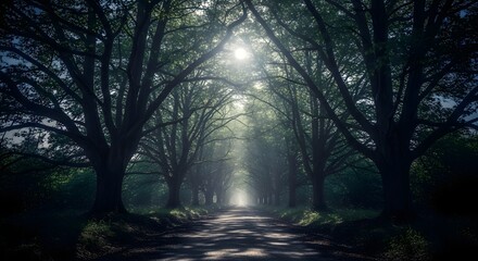 Rural Path Under Full Moon