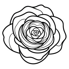 ranunculus flower outline icon