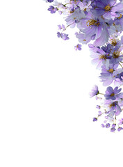 Purple blossoms cascade down a black background