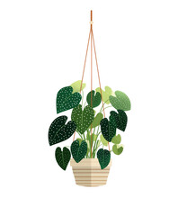 Hanging planter with spotted leaves