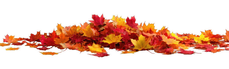 A colorful pile of autumn leaves against a black background