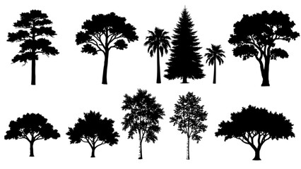 CAD Tree Line Minimal Set   Outline Symbols for Architecture and Landscape Design © Stock Image Paradise