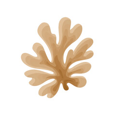 Obraz premium Beige, stylized leaf, detailed outline