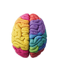 Colorful brain model, top-down view.  A stylized brain, presented in a rainbow of colors, is centrally positioned.  The brain's hemispheres are distinctly colored, with varied hues