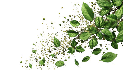 Green basil leaves exploding onto a black background