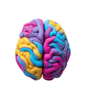 Colorful brain model (1)
