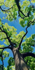 A beautiful painted illustration of looking up into a vibrant green tree canopy from below, capturing the serene beauty of nature's growth