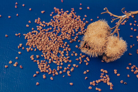 Organic Annatto Seeds - Bixa orellana
