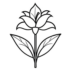 canna lily flower outline icon
