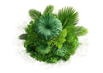 Fototapeta premium Top-down view of a lush, green, tropical plant arrangement