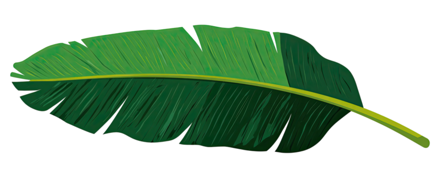 Detailed graphic of a single, large, vibrant green banana leaf