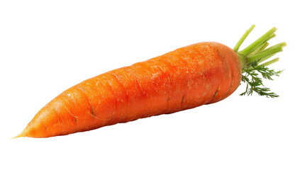 Single whole orange carrot, fresh and vibrant