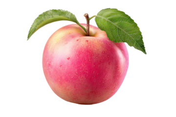 3d illustration icon of pink apple with leaf isolated on transparent background, PNG for poster banner cover design