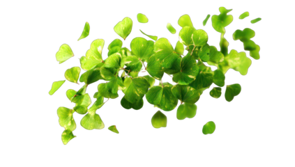 Fresh green leaves, scattered, vibrant